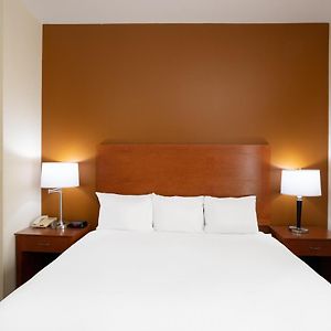 King Room Disability Access